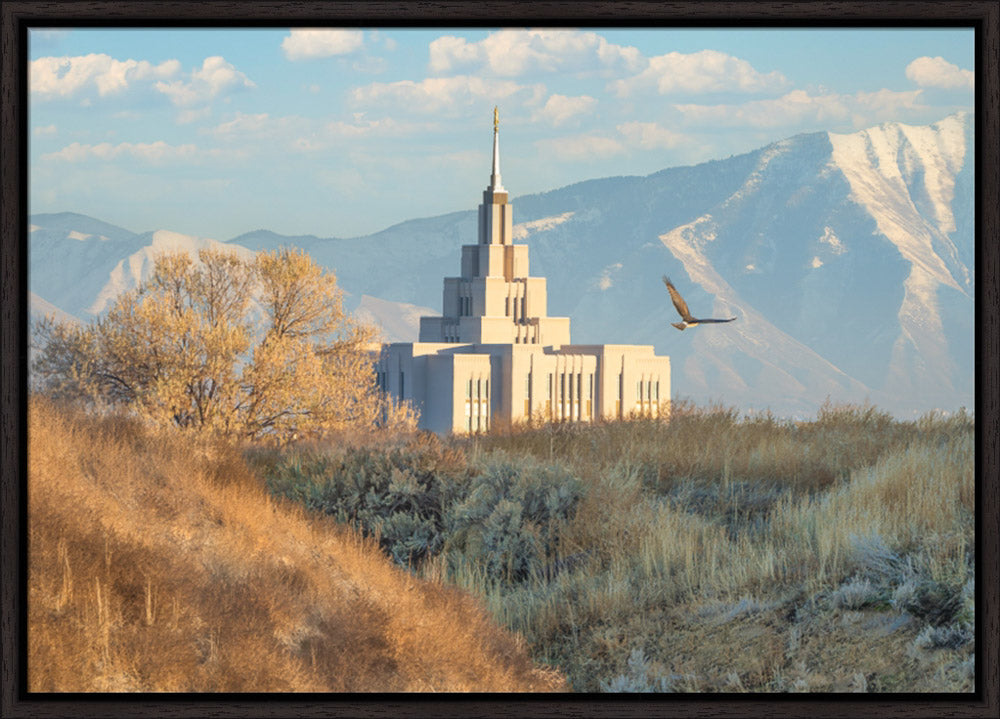 Saratoga Springs Temple - Upon His Wings
