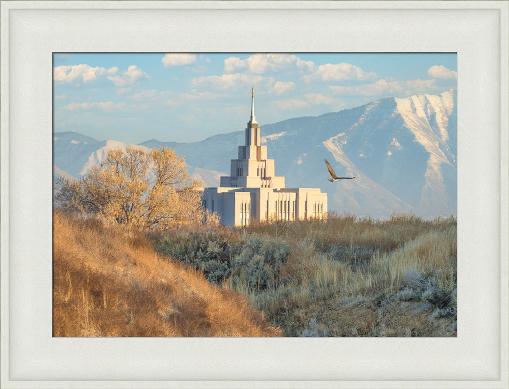 Saratoga Springs Temple - Upon His Wings
