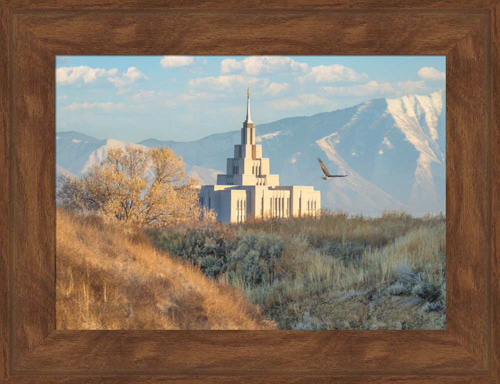 Saratoga Springs Temple - Upon His Wings