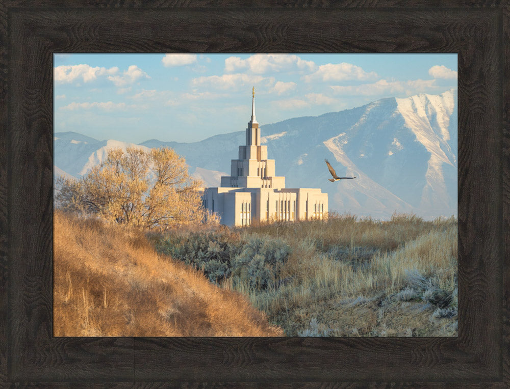 Saratoga Springs Temple - Upon His Wings