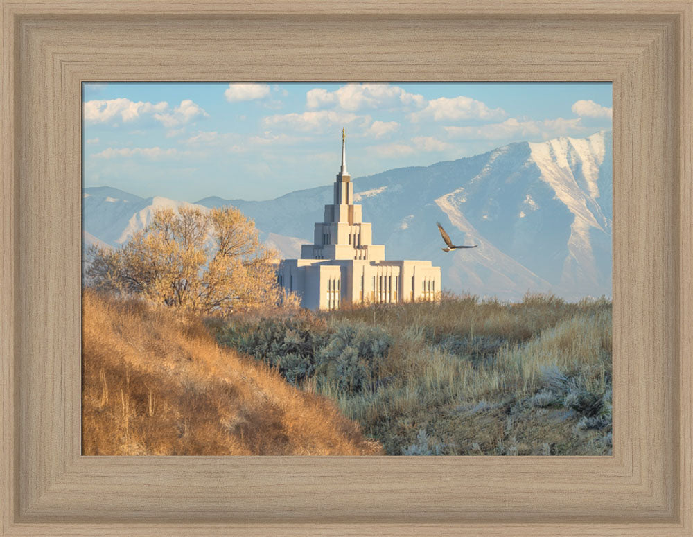 Saratoga Springs Temple - Upon His Wings