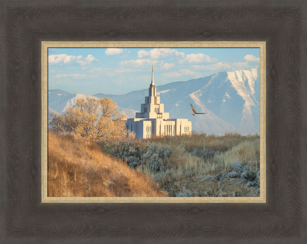 Saratoga Springs Temple - Upon His Wings