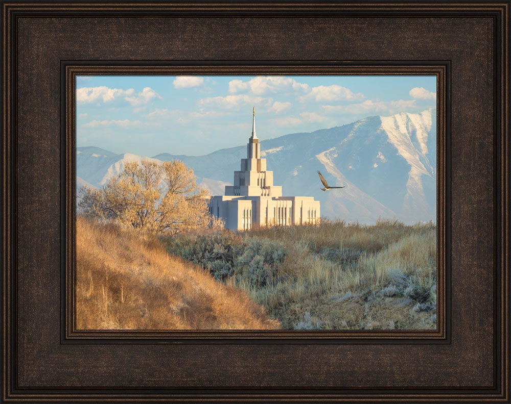 Saratoga Springs Temple - Upon His Wings