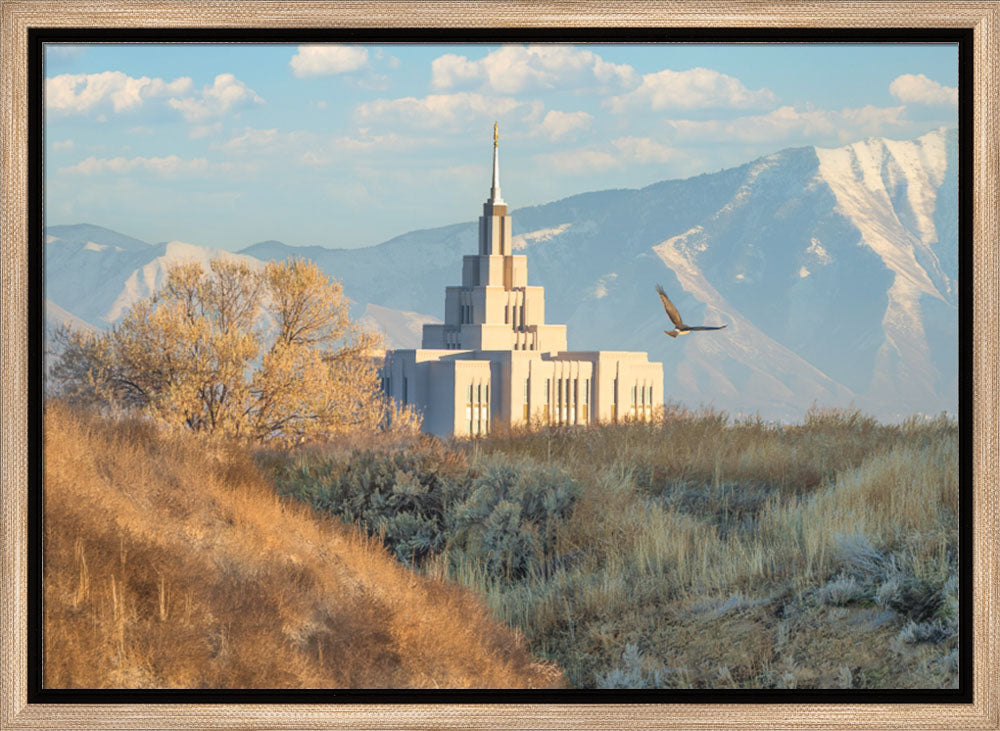 Saratoga Springs Temple - Upon His Wings