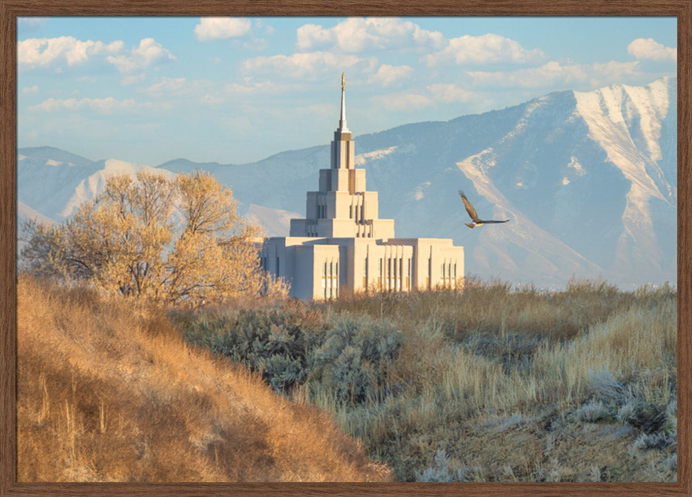 Saratoga Springs Temple - Upon His Wings
