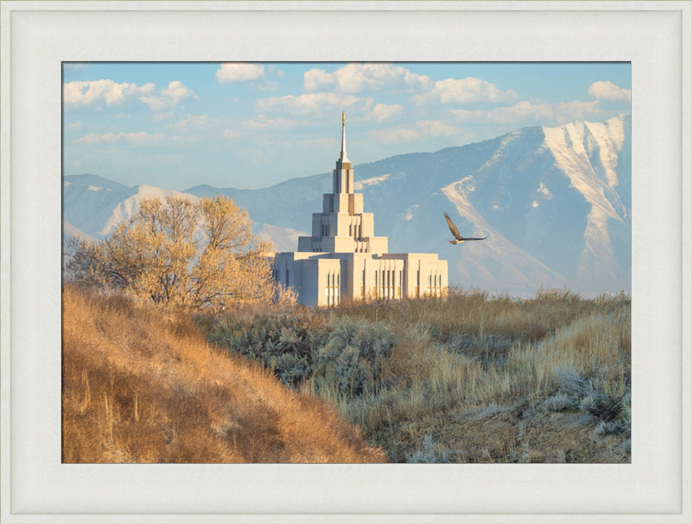 Saratoga Springs Temple - Upon His Wings