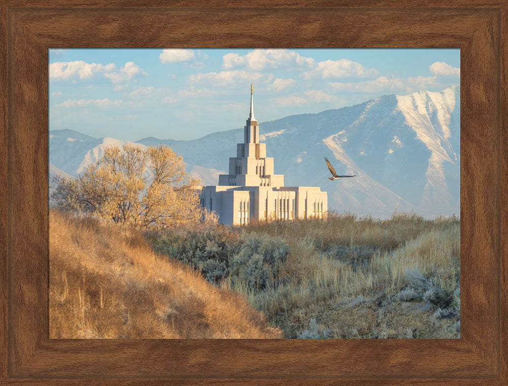 Saratoga Springs Temple - Upon His Wings