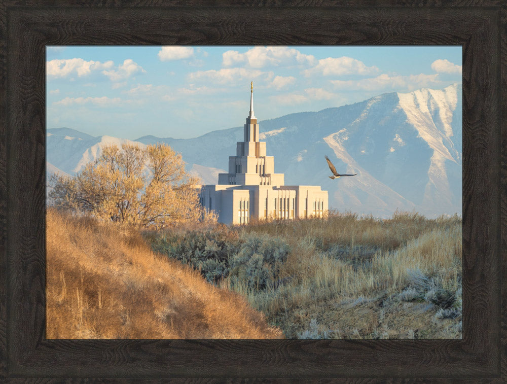 Saratoga Springs Temple - Upon His Wings