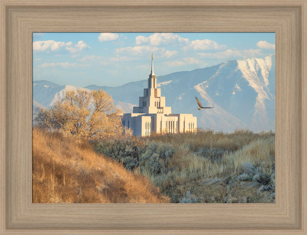 Saratoga Springs Temple - Upon His Wings