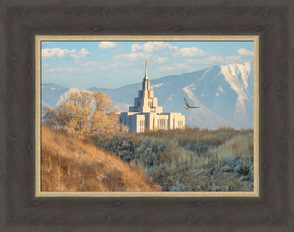 Saratoga Springs Temple - Upon His Wings
