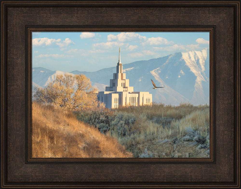 Saratoga Springs Temple - Upon His Wings