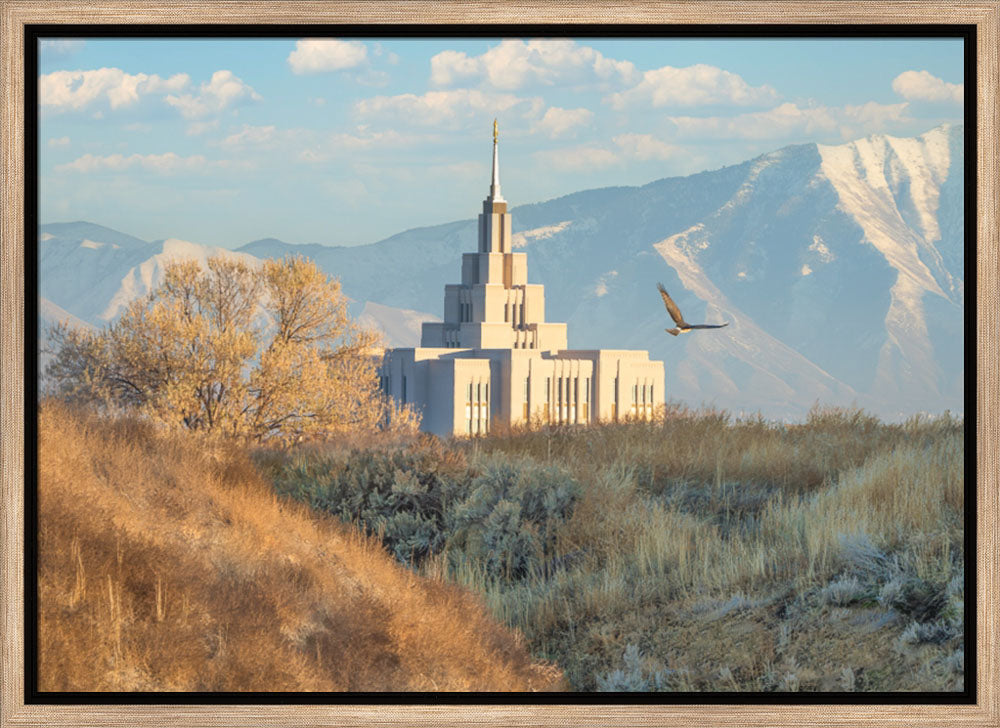 Saratoga Springs Temple - Upon His Wings