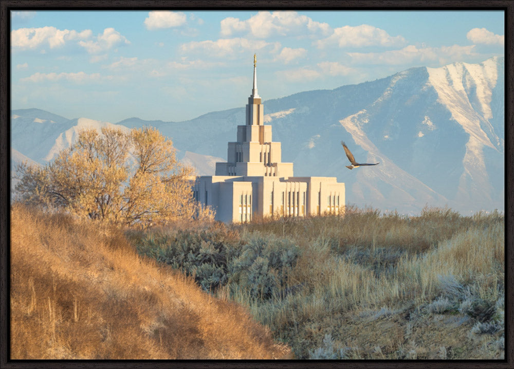 Saratoga Springs Temple - Upon His Wings