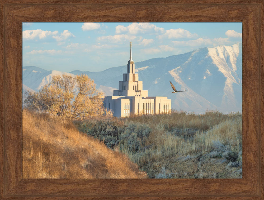 Saratoga Springs Temple - Upon His Wings