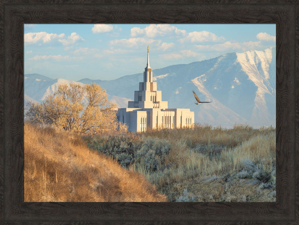 Saratoga Springs Temple - Upon His Wings