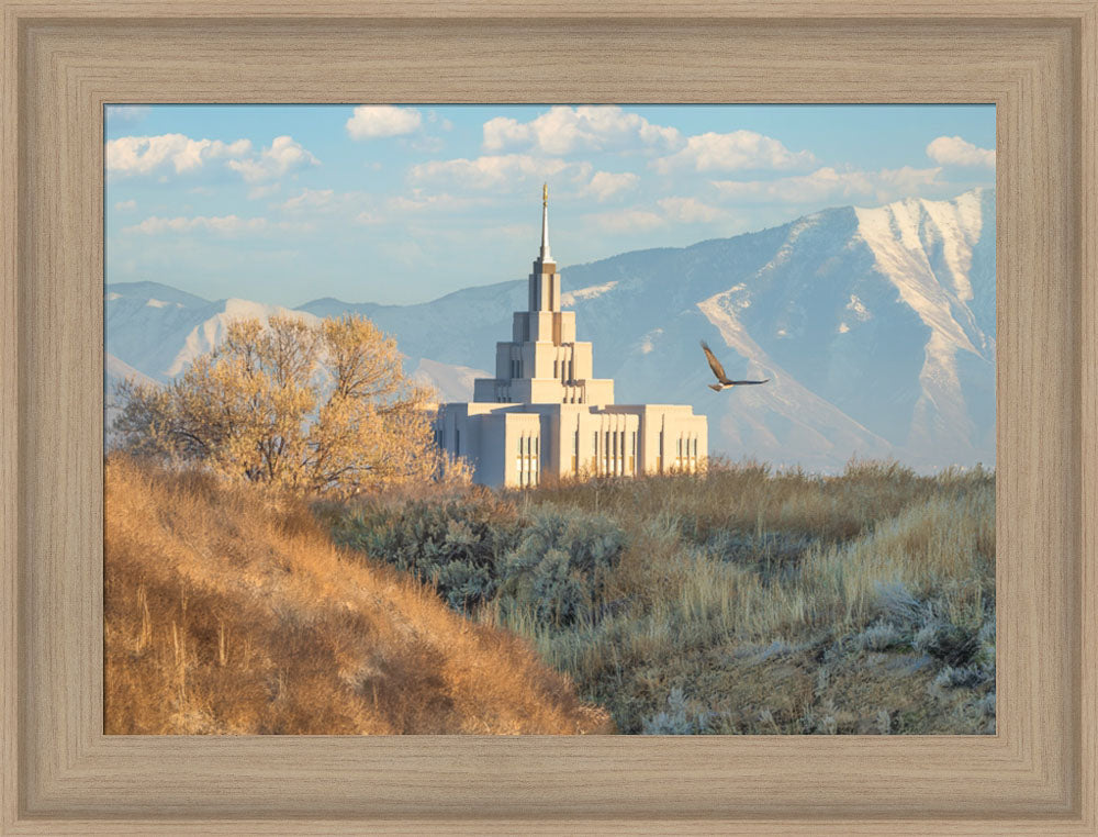 Saratoga Springs Temple - Upon His Wings