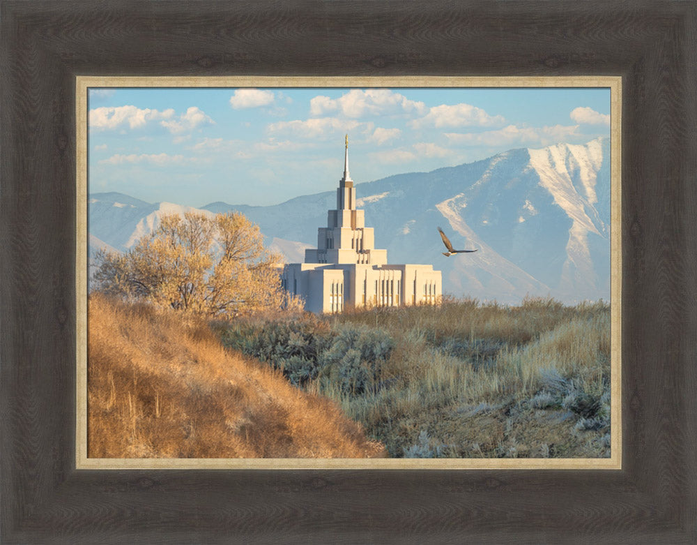 Saratoga Springs Temple - Upon His Wings