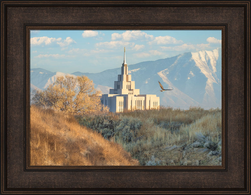 Saratoga Springs Temple - Upon His Wings