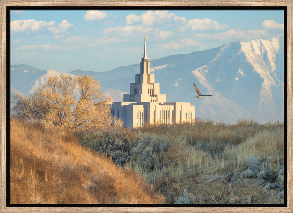 Saratoga Springs Temple - Upon His Wings
