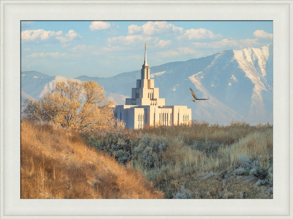 Saratoga Springs Temple - Upon His Wings