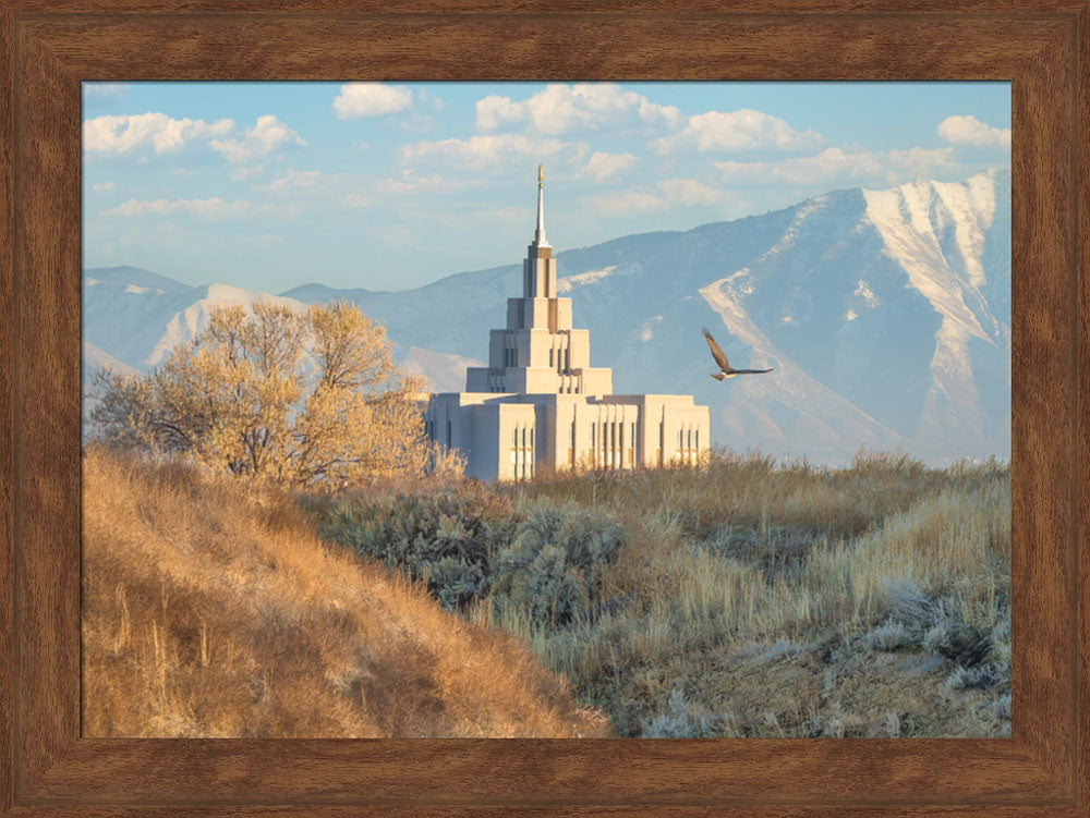 Saratoga Springs Temple - Upon His Wings