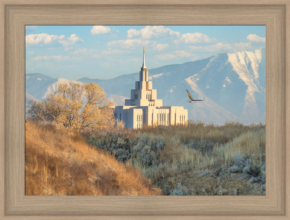 Saratoga Springs Temple - Upon His Wings