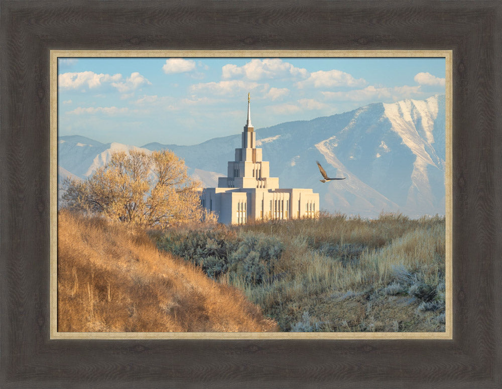 Saratoga Springs Temple - Upon His Wings