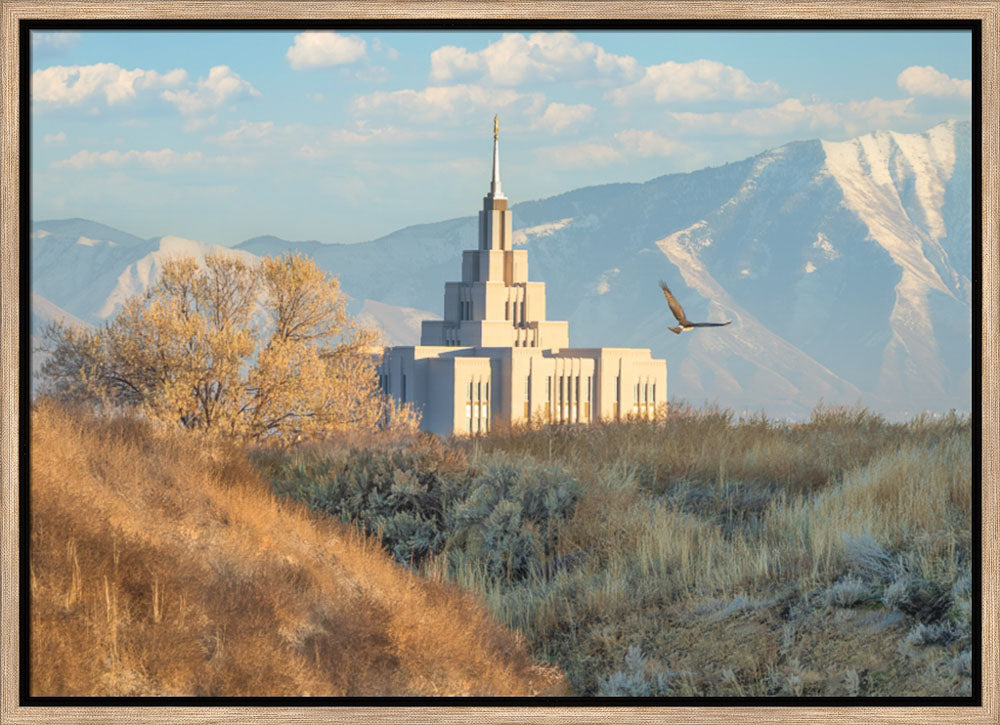 Saratoga Springs Temple - Upon His Wings