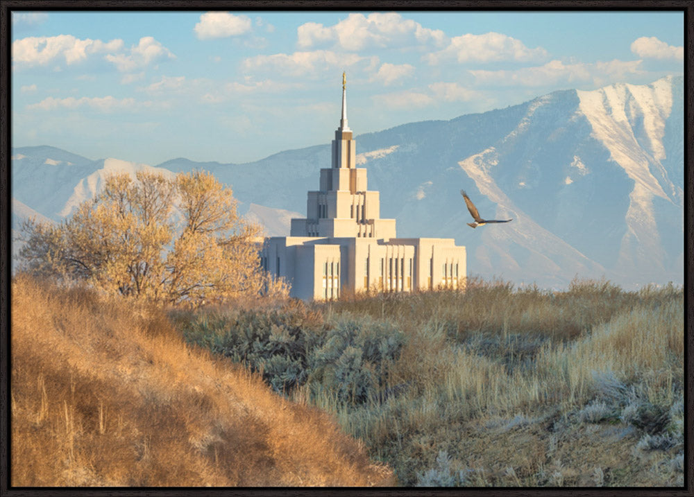 Saratoga Springs Temple - Upon His Wings