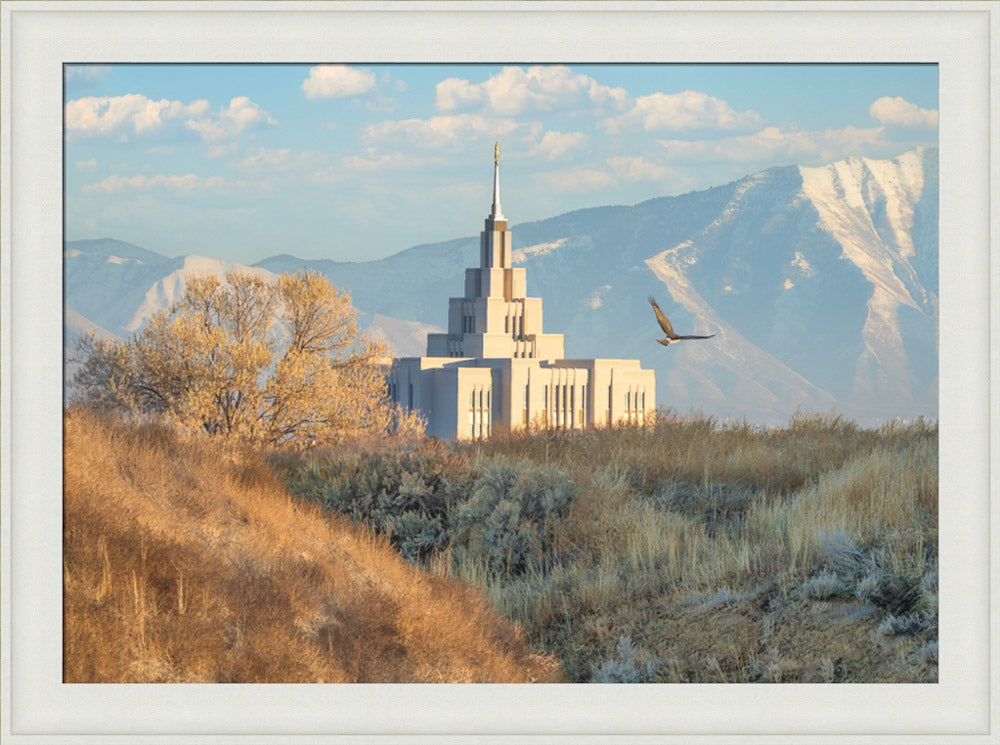 Saratoga Springs Temple - Upon His Wings