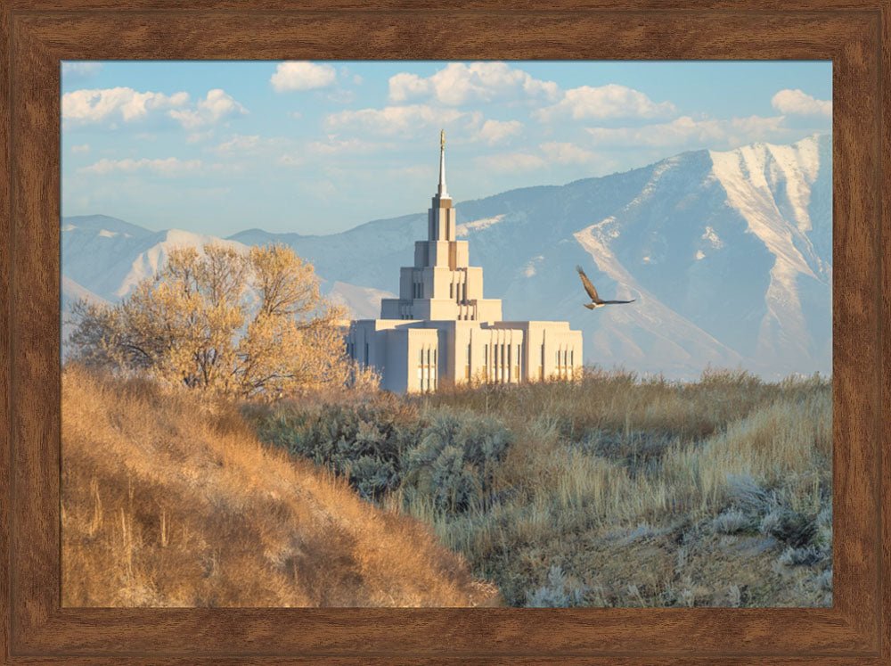 Saratoga Springs Temple - Upon His Wings