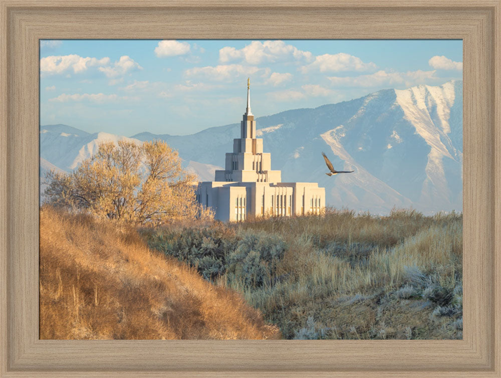 Saratoga Springs Temple - Upon His Wings