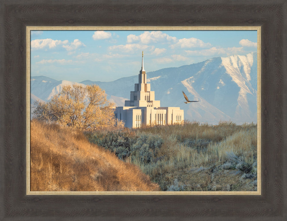 Saratoga Springs Temple - Upon His Wings
