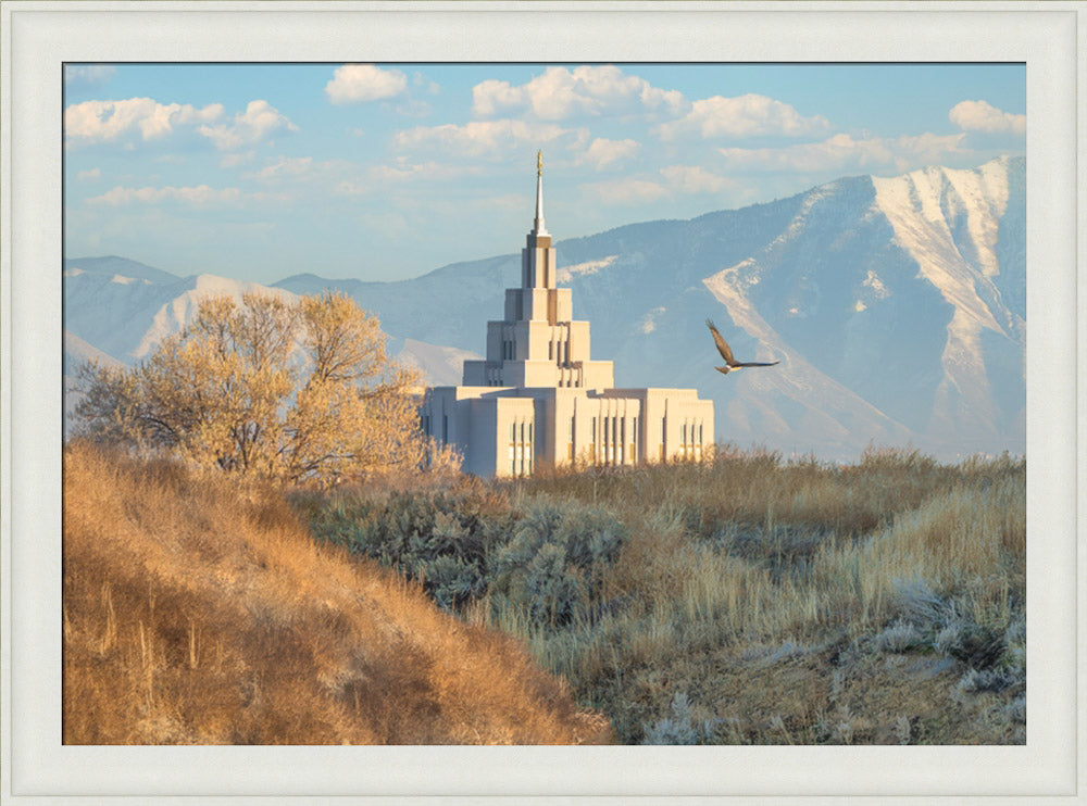 Saratoga Springs Temple - Upon His Wings