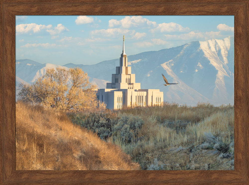 Saratoga Springs Temple - Upon His Wings
