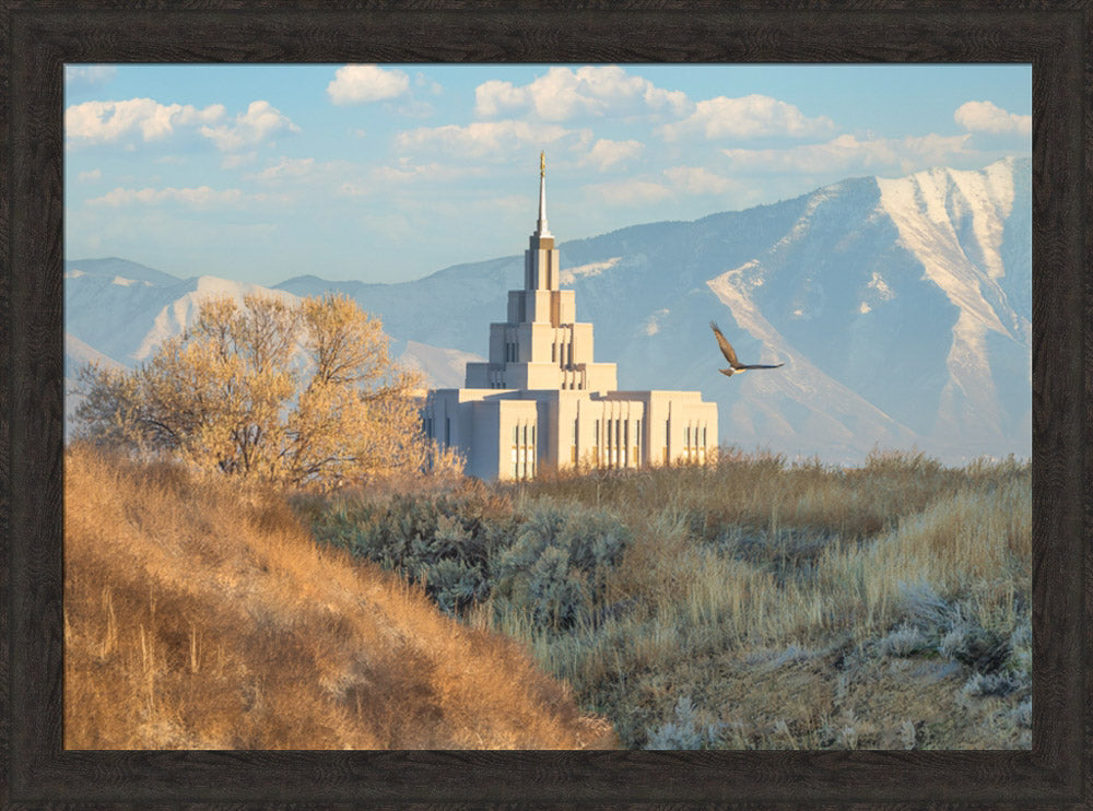 Saratoga Springs Temple - Upon His Wings