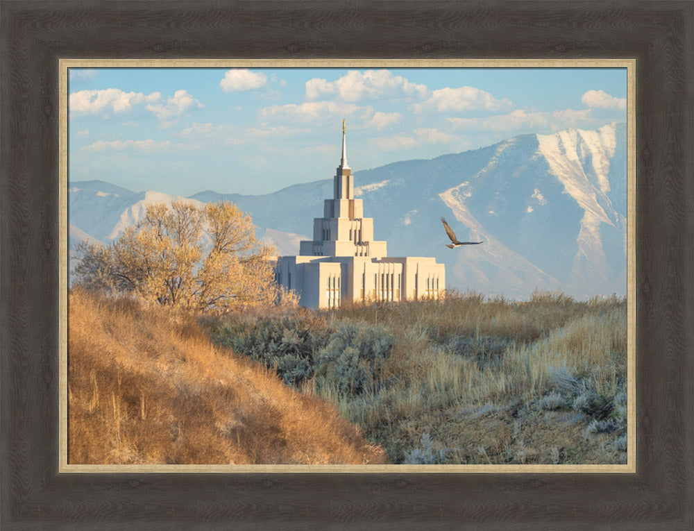 Saratoga Springs Temple - Upon His Wings