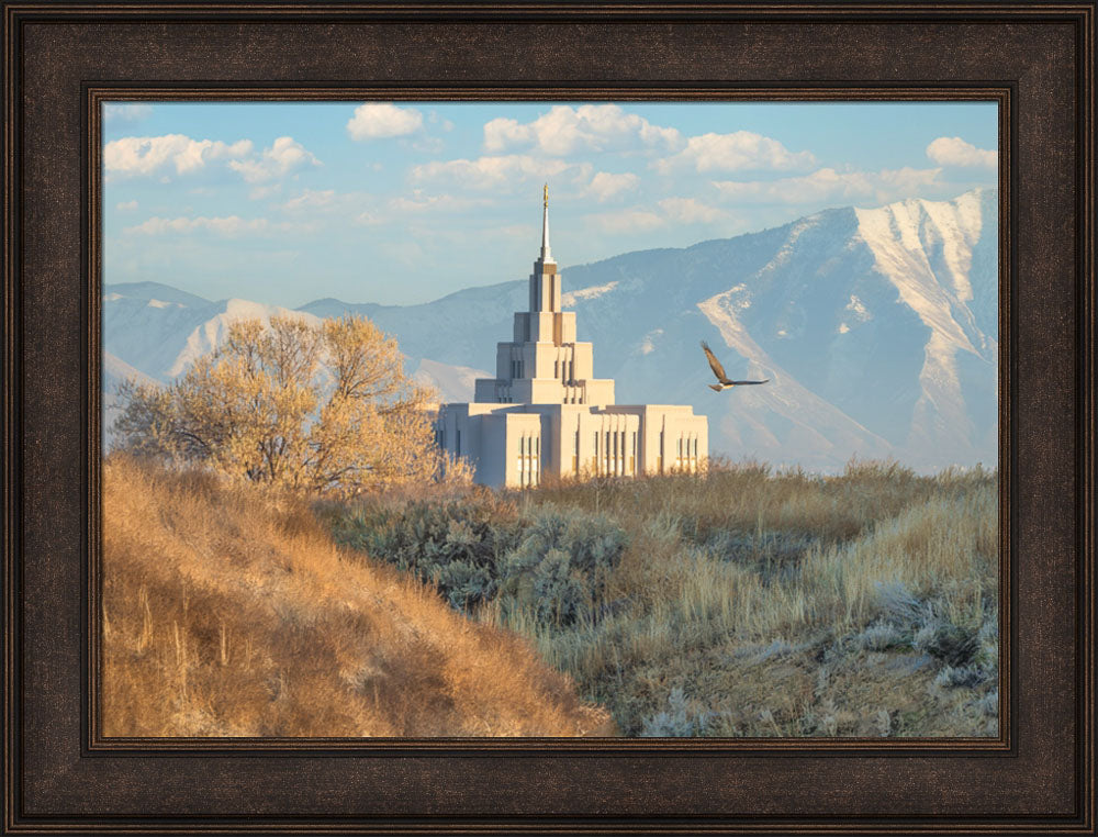 Saratoga Springs Temple - Upon His Wings