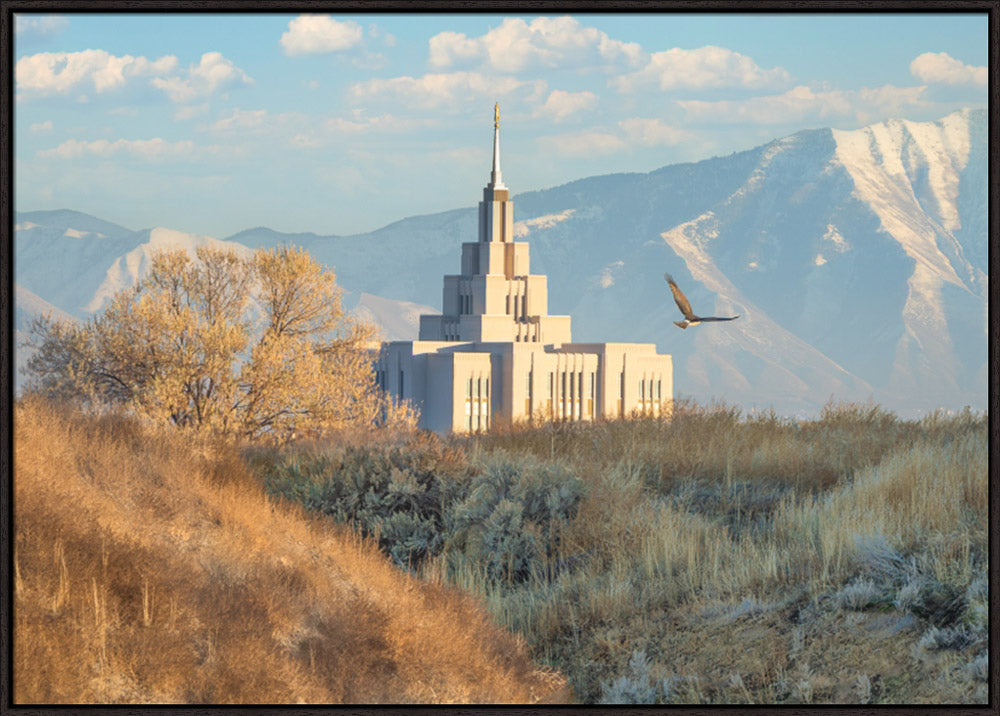 Saratoga Springs Temple - Upon His Wings