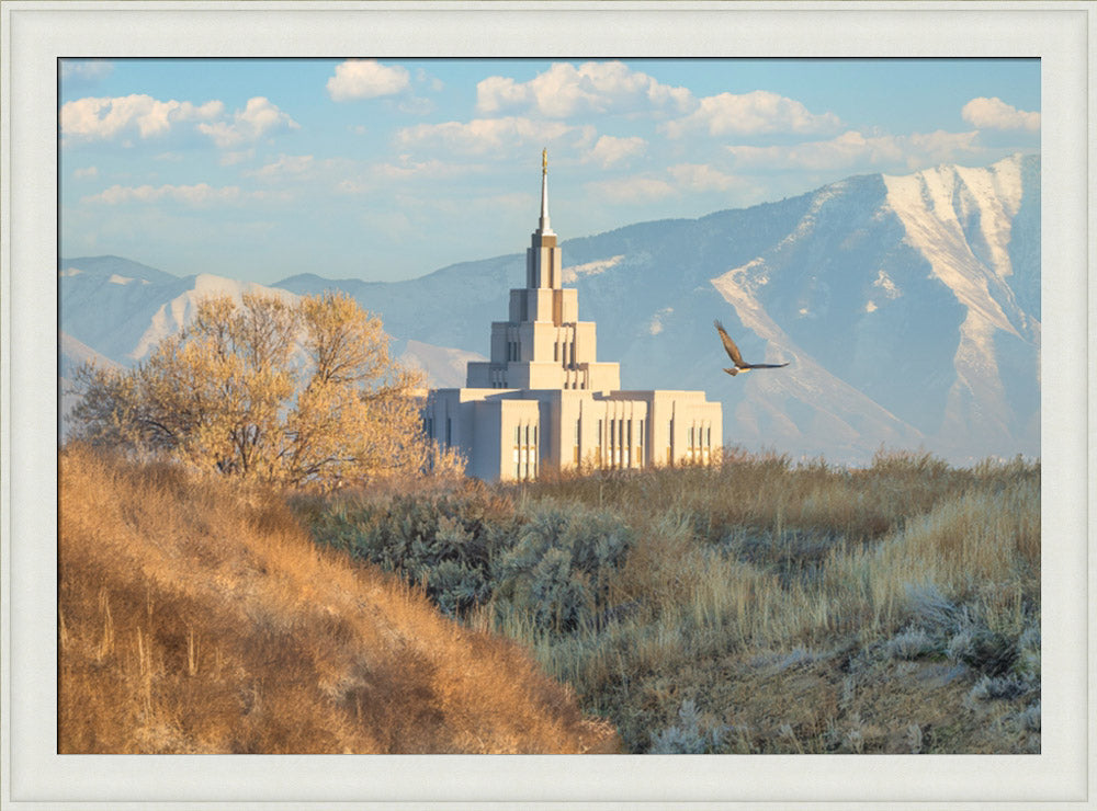 Saratoga Springs Temple - Upon His Wings