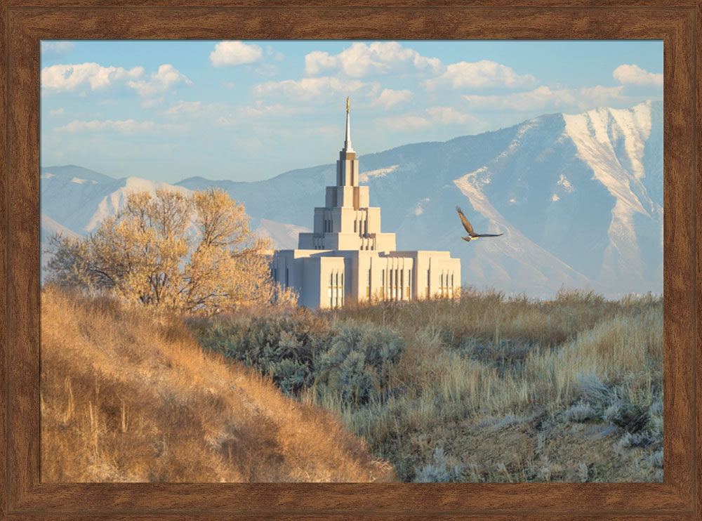 Saratoga Springs Temple - Upon His Wings