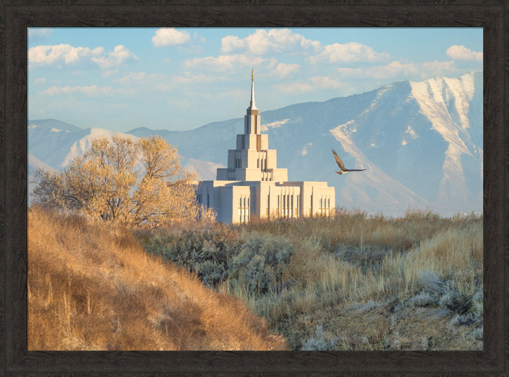 Saratoga Springs Temple - Upon His Wings