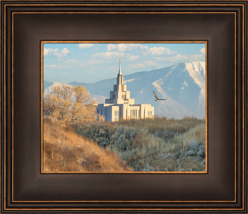 Saratoga Springs Temple - Upon His Wings