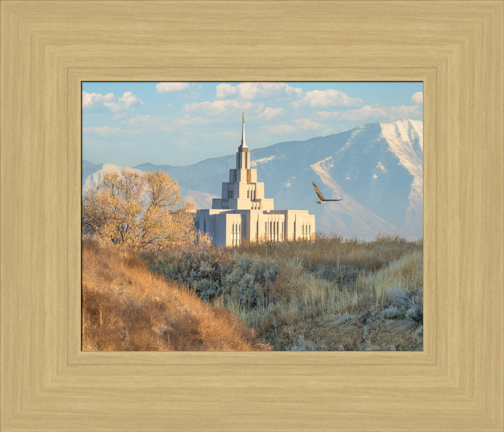 Saratoga Springs Temple - Upon His Wings
