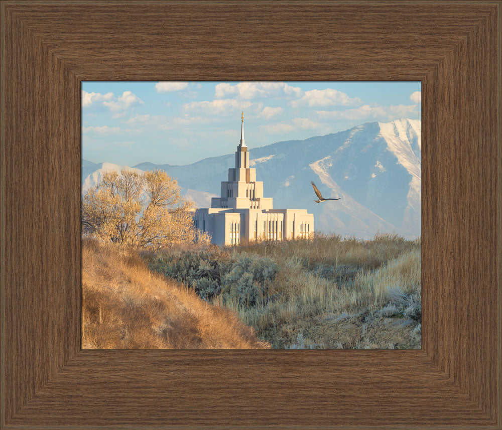 Saratoga Springs Temple - Upon His Wings