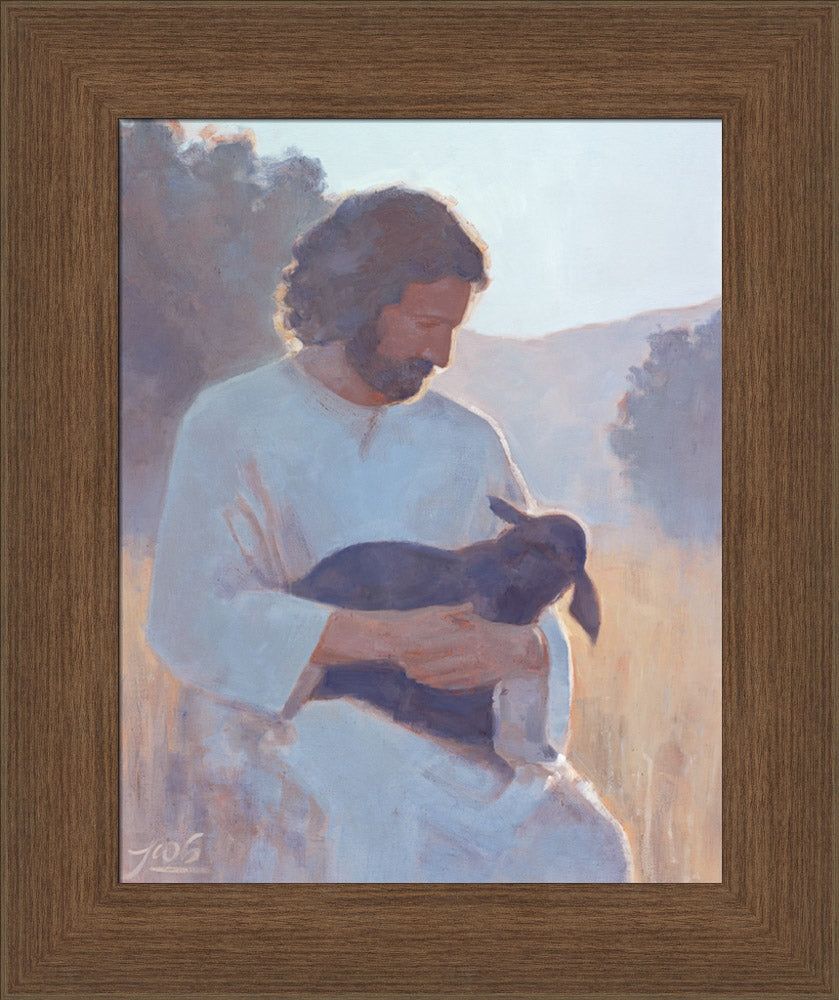 The Shepherd's Care