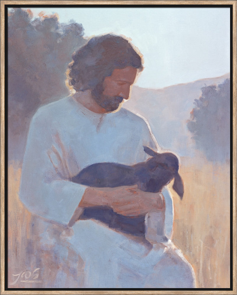 The Shepherd's Care