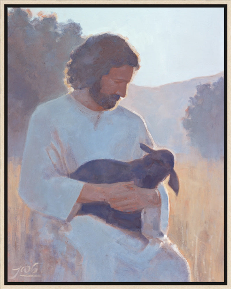 The Shepherd's Care