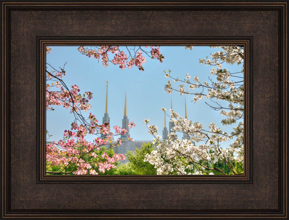 Washington DC Temple - Spring Flower View