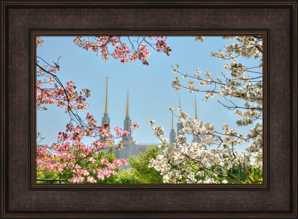 Washington DC Temple - Spring Flower View
